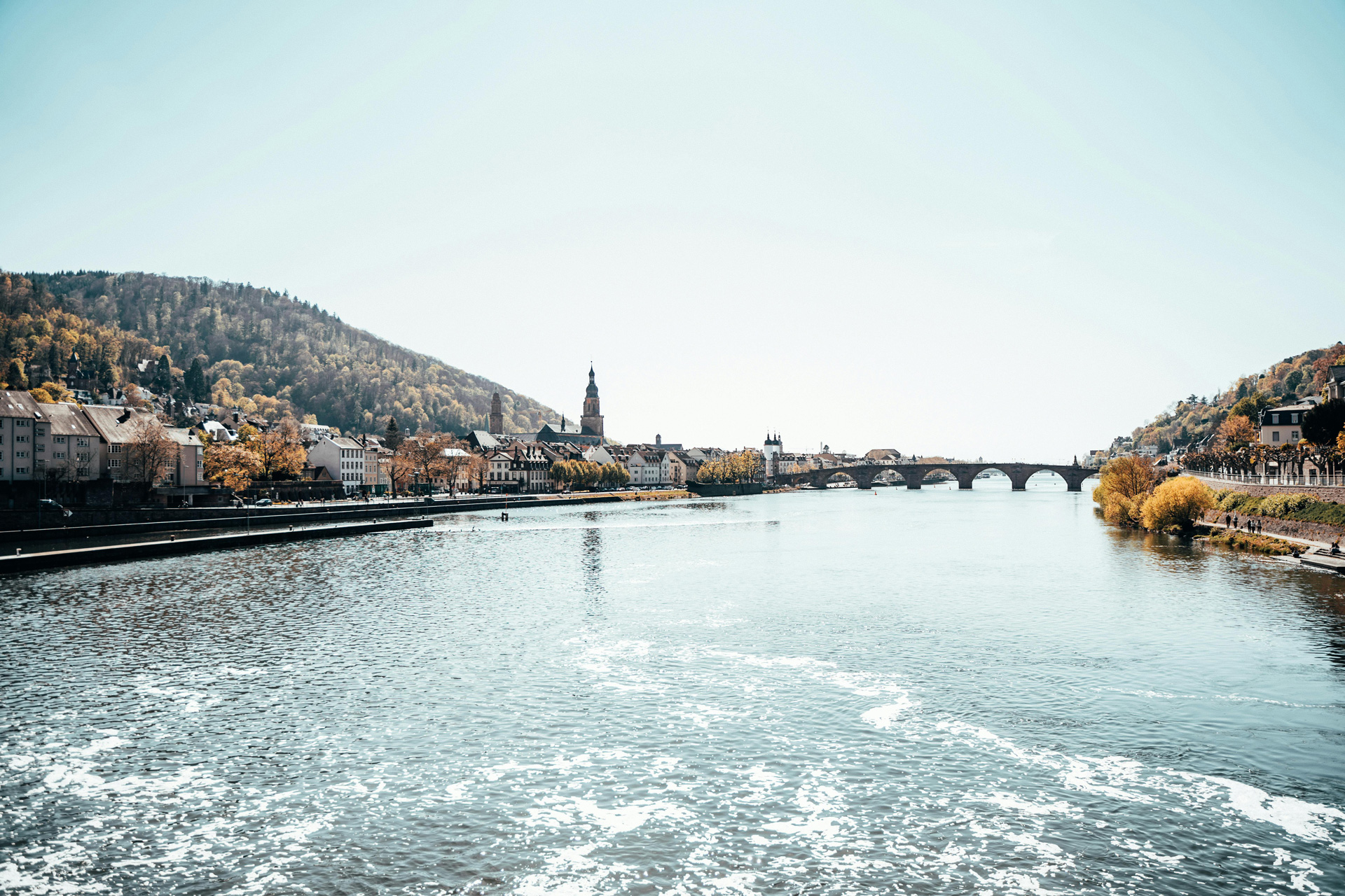 View of Heidelberg Neckar